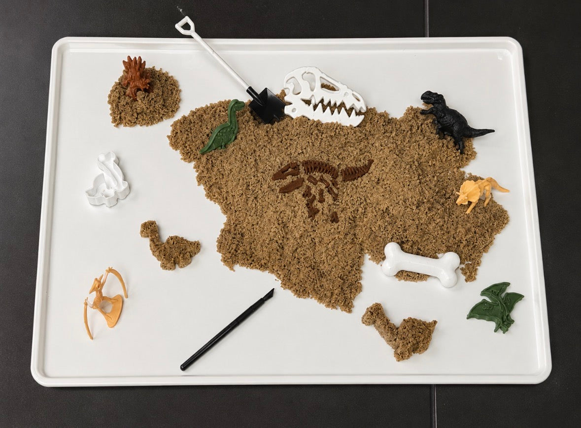 Dino Fossil Dig Kit
