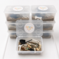Dino Fossil Dig Kit