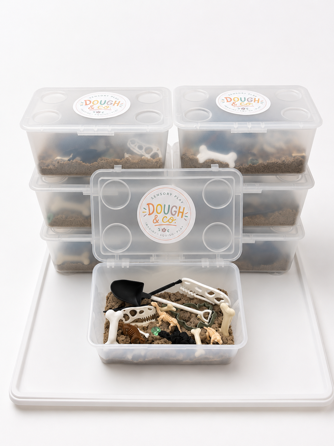 Dino Fossil Dig Kit